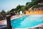 Shell Sea's Pools & Spas: Image